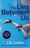 The Lies Between Us