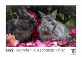 Kaninchen - Die schönsten Ohren 2022 - Timokrates Kalender, Tischkalender, Bildkalender - DIN A5 (21 x 15 cm)