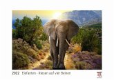 Elefanten - Riesen auf vier Beinen 2022 - White Edition - Timokrates Kalender, Wandkalender, Bildkalender - DIN A4 (ca. 30 x 21 cm)
