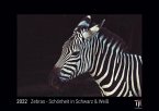 Zebras - Schönheit in Schwarz & Weiß 2022 - Black Edition - Timokrates Kalender, Wandkalender, Bildkalender - DIN A3 (42 x 30 cm)