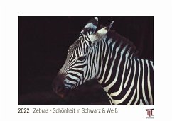 Zebras - Schönheit in Schwarz & Weiß 2022 - White Edition - Timokrates Kalender, Wandkalender, Bildkalender - DIN A3 (42 x 30 cm)