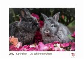 Kaninchen - Die schönsten Ohren 2022 - White Edition - Timokrates Kalender, Wandkalender, Bildkalender - DIN A4 (ca. 30 x 21 cm)