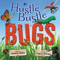 Hustle Bustle Bugs - Bailey, Catherine