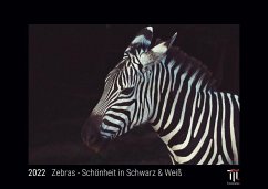 Zebras - Schönheit in Schwarz & Weiß 2022 - Black Edition - Timokrates Kalender, Wandkalender, Bildkalender - DIN A4 (ca. 30 x 21 cm)