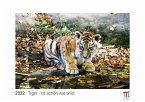 Tiger - so schön wie wild 2022 - White Edition - Timokrates Kalender, Wandkalender, Bildkalender - DIN A4 (ca. 30 x 21 cm)
