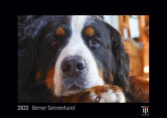 Berner Sennenhund 2022 - Black Edition - Timokrates Kalender, Wandkalender, Bildkalender - DIN A3 (42 x 30 cm)