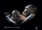 Affen - Zarte Primaten 2022 - Black Edition - Timokrates Kalender, Wandkalender, Bildkalender - DIN A3 (42 x 30 cm)