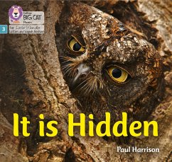 It is Hidden - Harrison, Paul