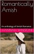 Romantically Amish (eBook, ePUB) - Bild 1
