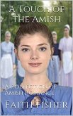 A Touch of the Amish (eBook, ePUB)