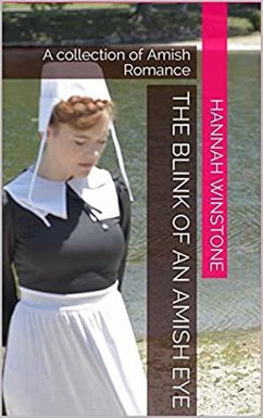 Blink of an Amish Eye (eBook, ePUB) - Winstone, Hannah