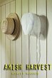 Amish Harvest (eBook, ePUB) - Bild 1