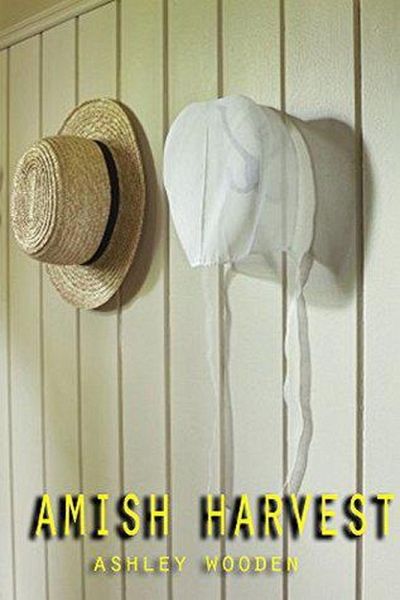Amish Harvest (eBook, ePUB)