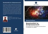 Beweismittel im Zivilprozessrecht