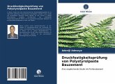 Druckfestigkeitsprüfung von Polystyrolpaste Bauzement