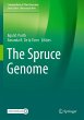 The Spruce Genome - Bild 1
