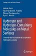 Hydrogen and Hydrogen-Containing... - Bild 1