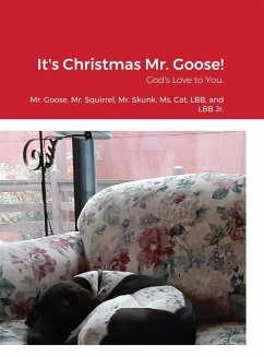 It's Christmas Mr. Goose! - Townsend, Alice Anne