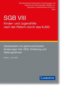 SGB VIII - Kinder- und Jugendhilfe nach der Reform durch das KJSG (eBook, PDF)
