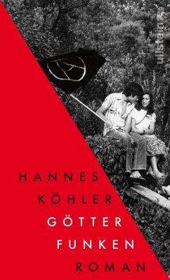 Götterfunken (eBook, ePUB) - Köhler, Hannes