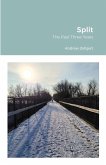 Split: The Past Three Years