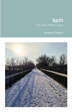 Split: The Past Three Years - Zellgert, Andrew