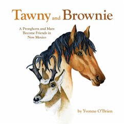 Tawny and Brownie - O'Brien, Yvonne C.