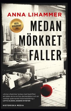 Cover Medan mörkret faller