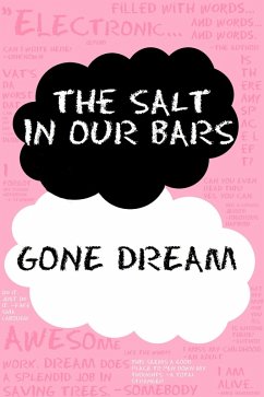 Cover The Salt in Our Bars (eBook, ePUB)
