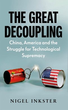 Cover The Great Decoupling (eBook, ePUB)
