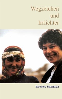 Wegzeichen und Irrlichter (eBook, ePUB)