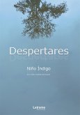 Despertares (eBook, ePUB)