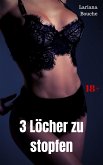 3 Löcher zu stopfen (eBook, ePUB)