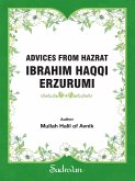 Advices From Hazrat Ibrahim Haqqi Erzurumi (eBook, ePUB)