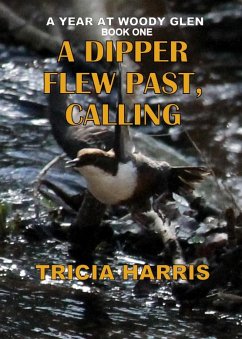 A dipper flew past, calling (eBook, ePUB) - Harris, Tricia