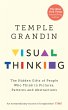 Visual Thinking (eBook, ePUB) - Bild 1