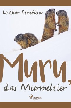 Murru, das Murmeltier - Streblow, Lothar