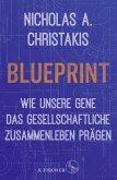 Blueprint (Mängelexemplar)