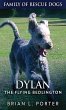 Dylan - The Flying Bedlington - Bild 1