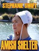 Amish Shelter (eBook, ePUB)