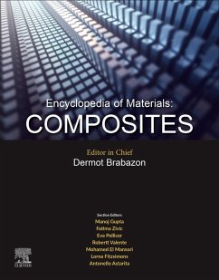Encyclopedia of Materials: Composites (eBook, PDF)