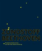 Zündstoff Beethoven (eBook, PDF)