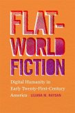 Flat-World Fiction (eBook, ePUB)
