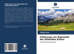 Fütterung von Rapsmehl bei stillenden Kühen - Tayo, Tilling