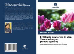 Fritillaria oranensis in den Tessala-Bergen (Westalgerien) - BOUZID, Khadidja