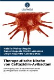 Therapeutische Nische von Ceftazidim-Avibactam