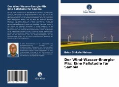 Der Wind-Wasser-Energie-Mix: Eine Fallstudie für Sambia - Sinkala Mainza, Brian