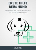 Erste Hilfe beim Hund (eBook, ePUB)