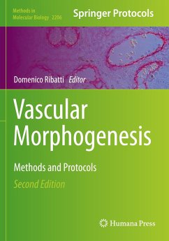 Vascular Morphogenesis