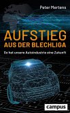 Aufstieg aus der Blechliga (eBook, PDF)